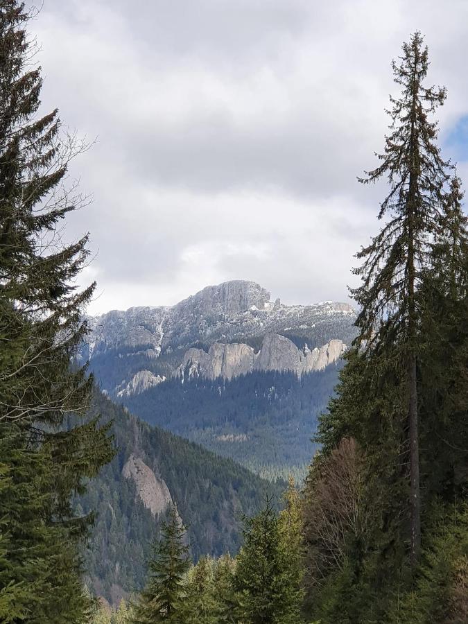 Apart Hotel Center Piatra Neamţ エクステリア 写真