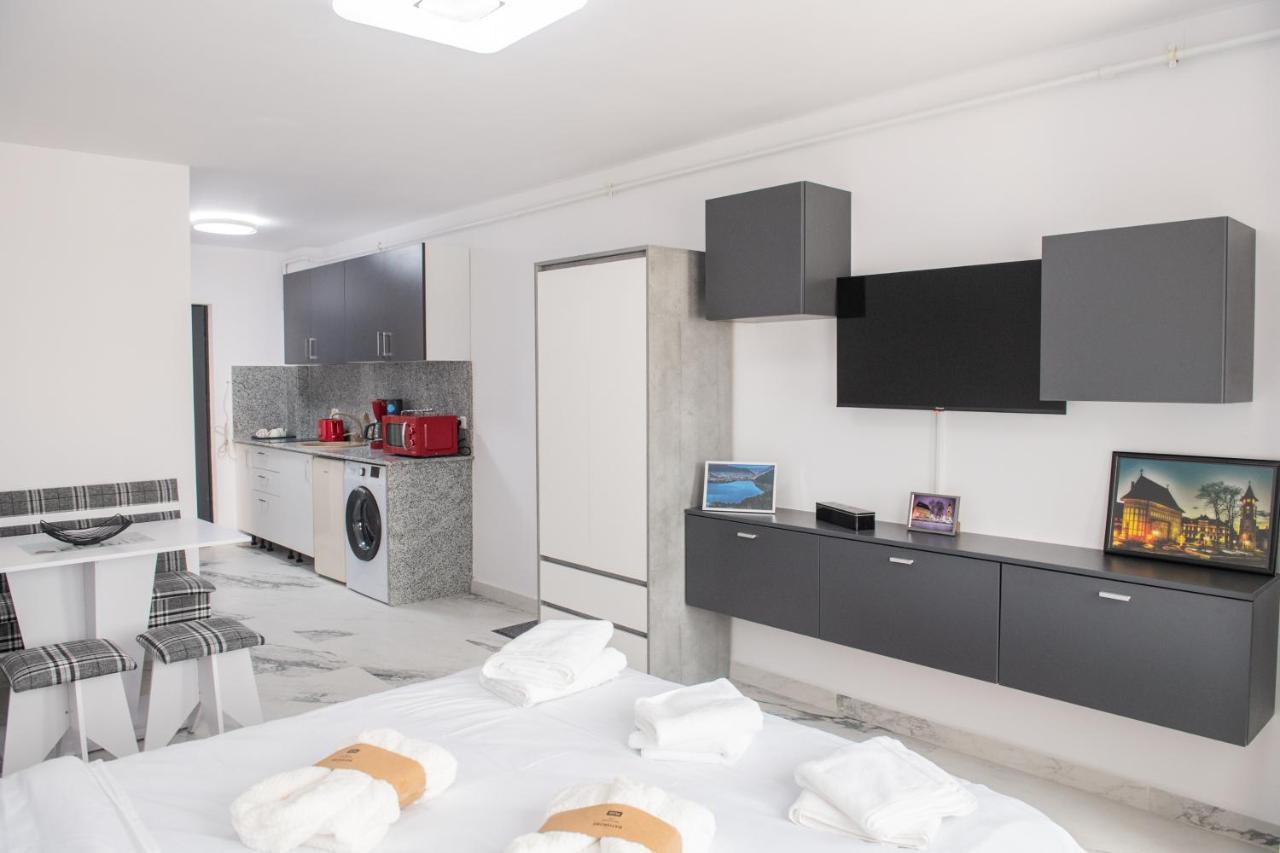 Apart Hotel Center Piatra Neamţ エクステリア 写真